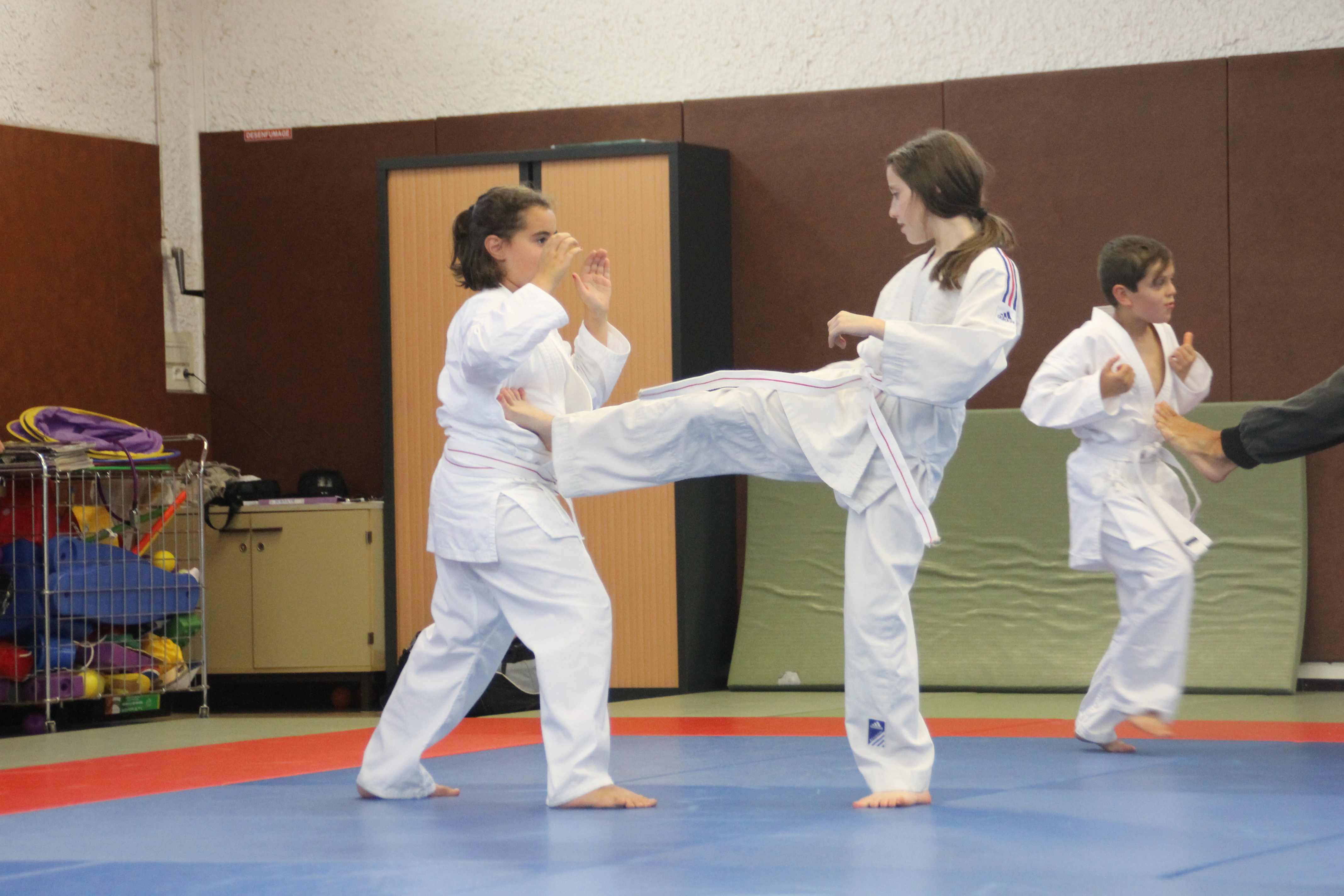 Aikido    EPAI-ISTA  